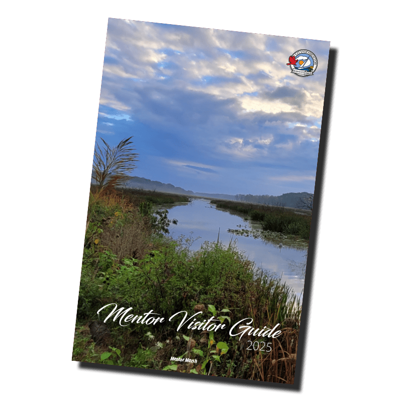 An image of the front cover of the Mentor Visitor Guide.